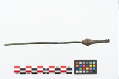 Foto von Bronzenadelspitzenschoner (NHMW-PRAE-025145)